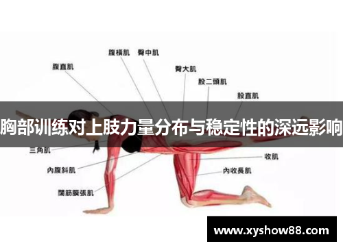 胸部训练对上肢力量分布与稳定性的深远影响